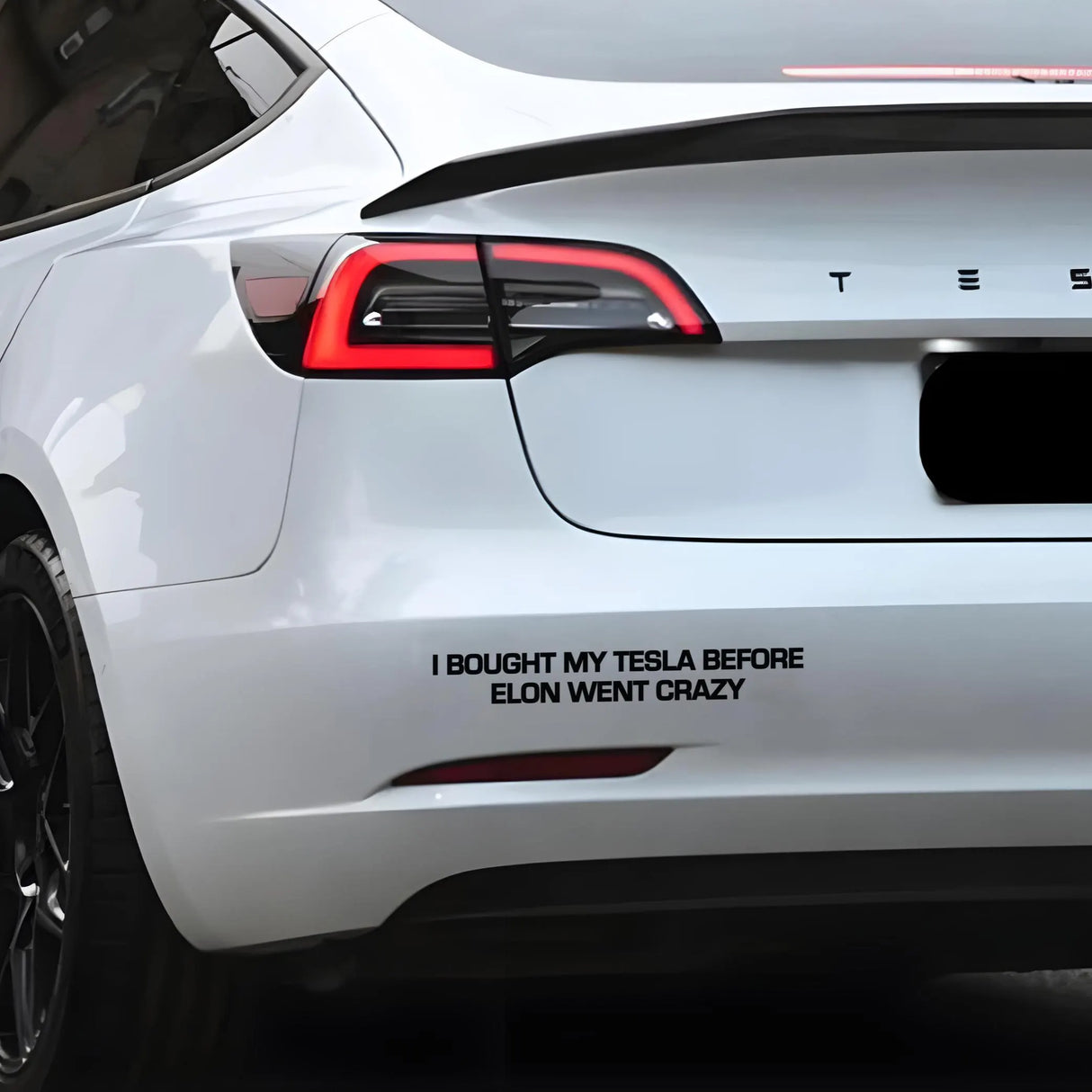 I Bought My Tesla Before Elon Went Crazy Decal