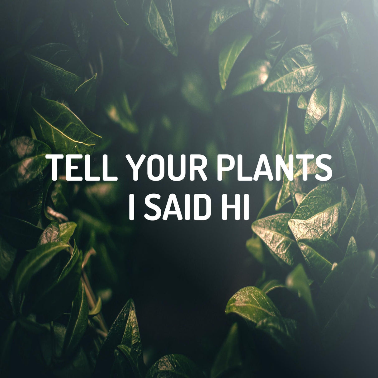 Tell Your Plants I Said Hi Decal