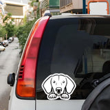Peeking Dog Face Decal